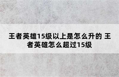 王者英雄15级以上是怎么升的 王者英雄怎么超过15级